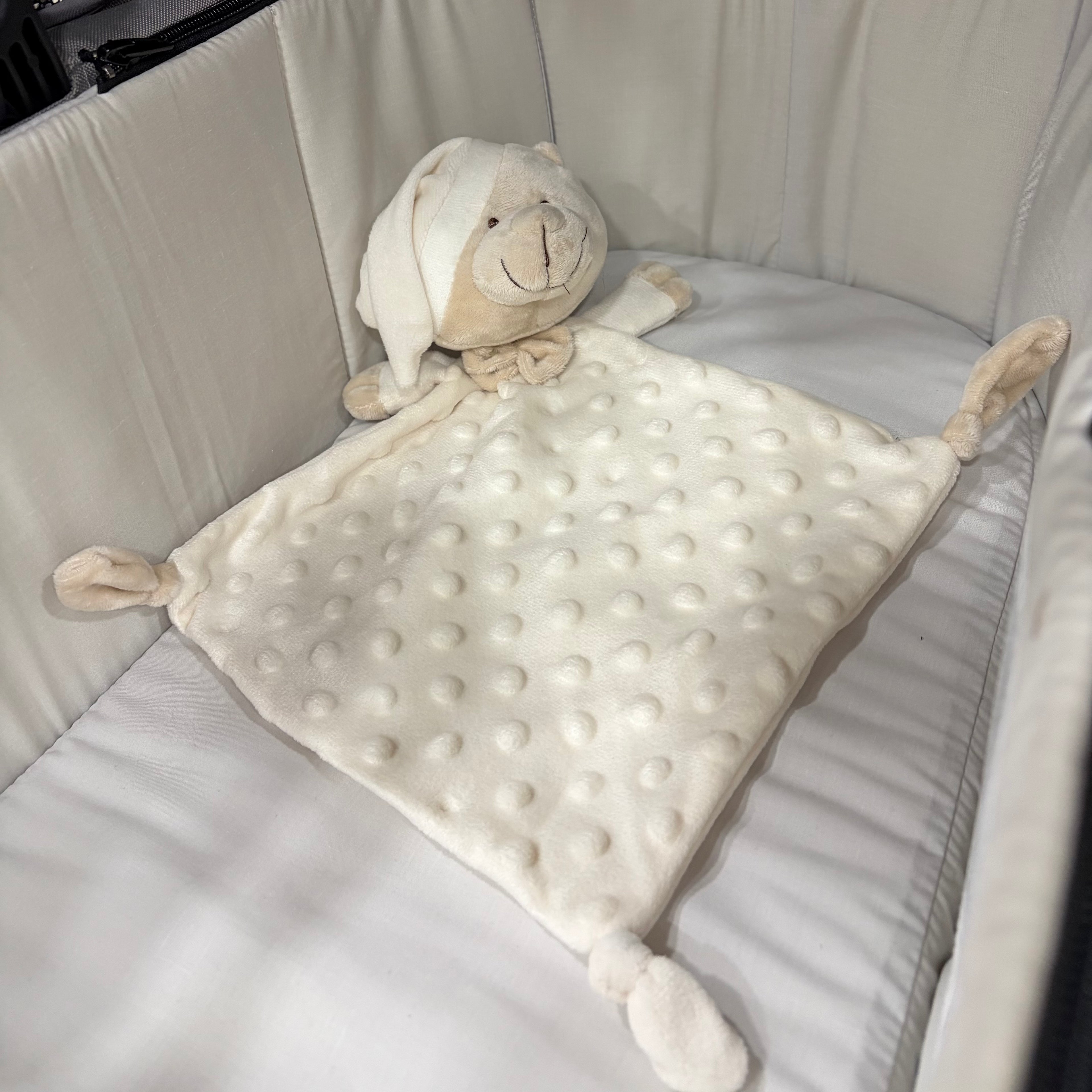 Orsetto Dou Dou🧸